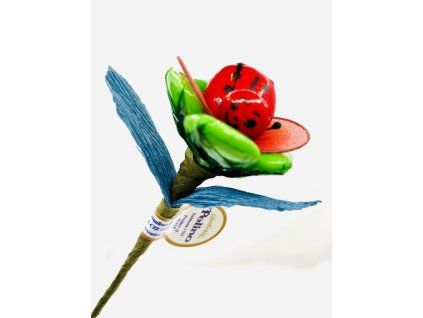 Usměvavá beruška na květině