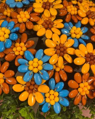 Krásná slunečnice se sladkými mandličkami AVOLA 🌻...